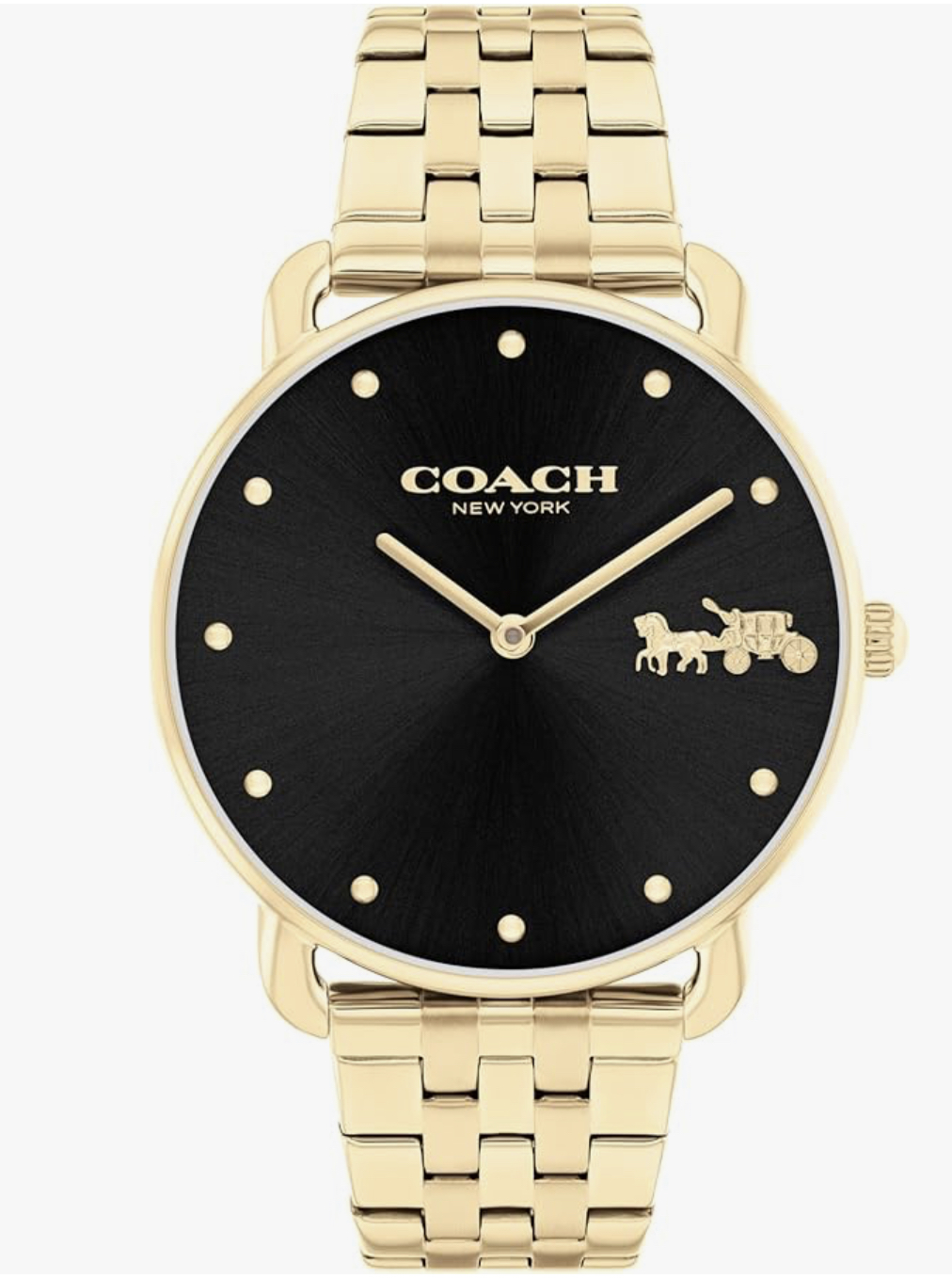 Coach watch